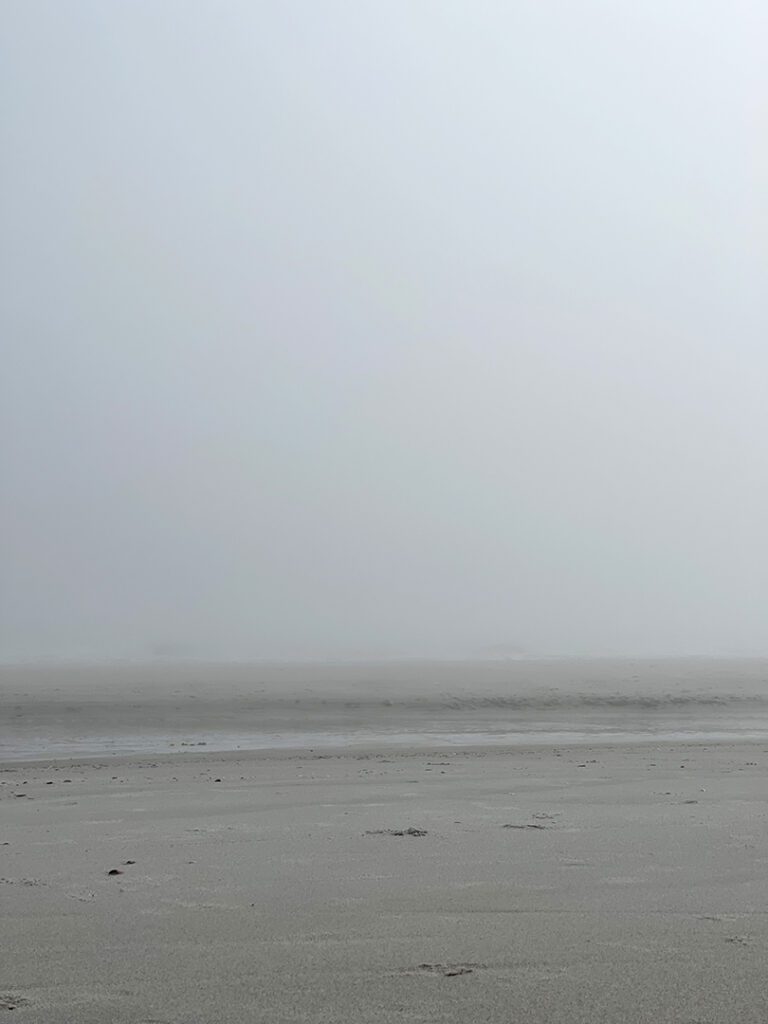 A foggy beach